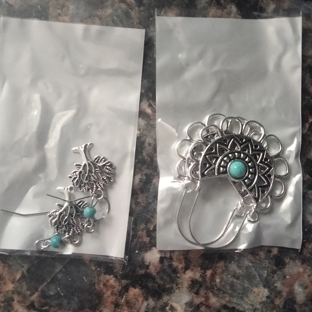 Silver and Turquoise Earrings
